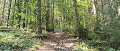 Ciecień Wschodni ↔ Pod Cietniem