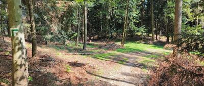 Pod Cietniem ↔ Szczyrzyc, Droga Klasztorna