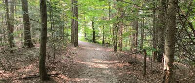 Pod Cietniem ↔ Ciecień Wschodni