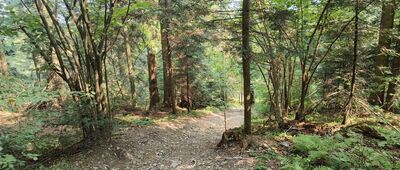 Ciecień ↔ Pod Cietniem