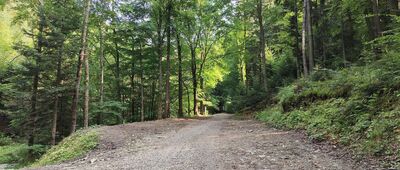 Wiśniowa, rozejście szlaków ↔ Księża Góra