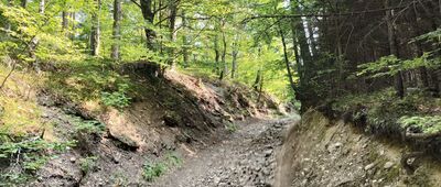 Wiśniowa, rozejście szlaków ↔ Księża Góra