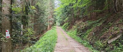 Konina, granica parku narodowego ↔ Skrzyżowanie szlaków