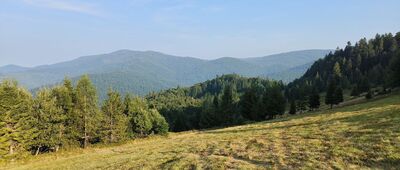 Polana Turbaczyk, rozejście szlaków