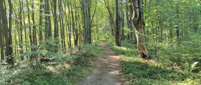 Pod Ostrym Wierchem ↔ TPG Cigelka