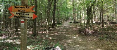 Odejście ścieżki spacerowej do cmentarza ↔ Pod Obyczem