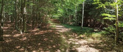 Rozejście szlaków ↔ Odejście ścieżki spacerowej do cmentarza