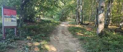 Cmentarz wojenny nr 46 Konieczna-Beskidek ↔ Przełęcz Dujawa