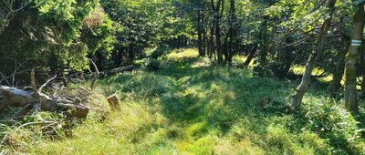 Jaworzyna Konieczniańska ↔ Pod Beskidkiem