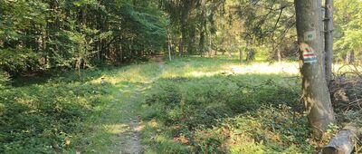 Przełęcz Regetowska