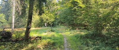 Przełęcz Regetowska