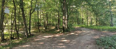 Przełęcz Regetowska, wiata