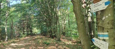 Pod Obyczem ↔ Przełęcz Regetowska, wiata