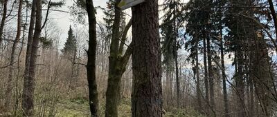 Przełęcz pod Wroną