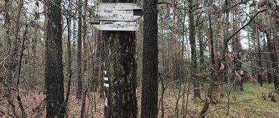 Ogrodzieniec, droga wojewódzka [Szlakowskaz przy drodze Łazy-Ogrodzieniec]