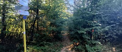 Nad Przełęczą Kuchtowską ↔ Nad Tysowym