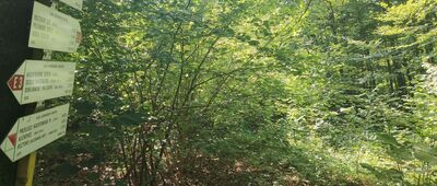 Roztocký les ↔ Nad Przełęczą Kuchtowską