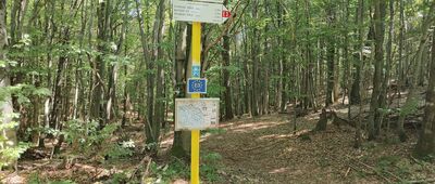 Przełęcz Mazgalica