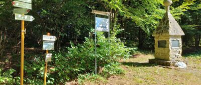 Przełęcz Filipowska ↔ Przełęcz Mazgalica