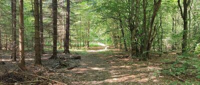 Przełęcz Szarbowska ↔ Granica parku narodowego