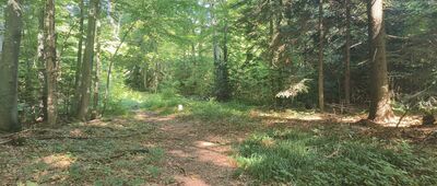 Porubské sedlo, rázc. ↔ Porubské sedlo