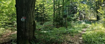 Porubské sedlo, rázc.