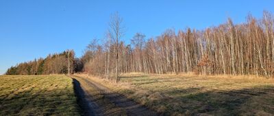 Skrzyżowanie pod Wapienną