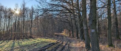 Skrzyżowanie przy dawnych piecach wapienniczych ↔ Skrzyżowanie pod Wapienną