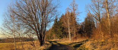 Strzyżowiec ↔ Skrzyżowanie pod Wapienną