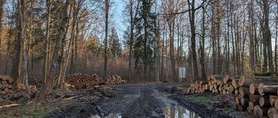 Skrzyżowanie pod Wapienną ↔ Płoszczynka