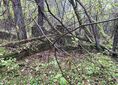 Bukowno, ul. Borowska ↔ Rozejście szlaków [Ruiny Młyna]