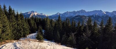 Rusinowa Polana ↔ Gęsia Szyja [Tatry Bielskie i słowacka część Tatr Wysokich spod Gęsiej Szyi]