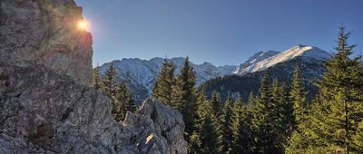 Gęsia Szyja ↔ Rówień Waksmundzka, odejście na Gęsią Szyję [Grań Wołoszyna i Koszystej spod wierzchołka Gęsiej Szyi]