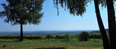 Przegorzalska Przełęcz ↔ Kraków, Uroczysko Sikornik [Sikornik]