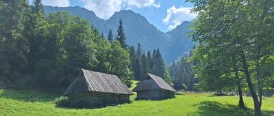 Polana Strążyska [Szałasy na Polanie Strążyskiej]
