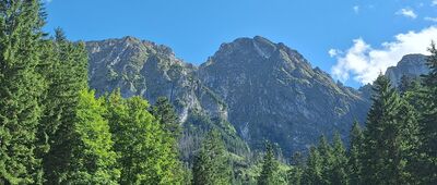 Polana Strążyska ↔ Polana Strążyska, odejście szlaku żółtego [Giewont widziany z Polany Strążyskiej]