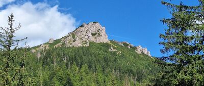 Polana Strążyska [Sarnia Skała]