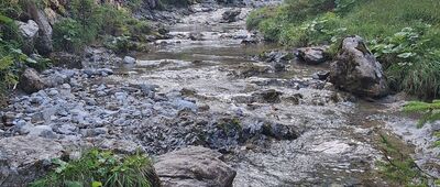 Dolina Strążyska, parking ↔ Polana Strążyska [Strążyski Potok]