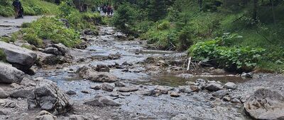 Dolina Strążyska, parking ↔ Polana Strążyska [Strążyski Potok]