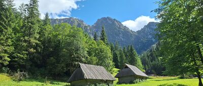Polana Strążyska [Szałasy pasterskie w Dolinie Strążyskiej]