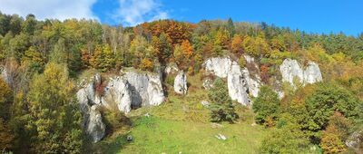 Bolechowice, rozejście szlaków ↔ Będkowice [W Dolinie Kobylańskiej]