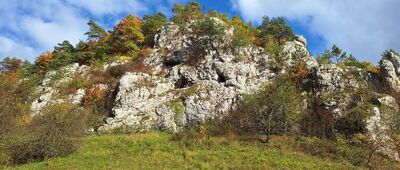 Bolechowice, rozejście szlaków ↔ Zelków, ul. Sportowa [W Dolinie Bolechowickiej]