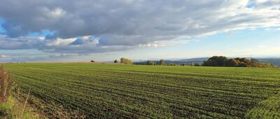 Modlnica ↔ Gacki [Łysa Góra]