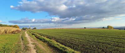 Modlnica ↔ Gacki [Łysa Góra]