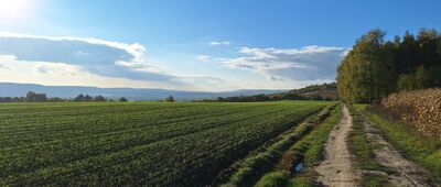 Modlnica ↔ Gacki [Łysa Góra]