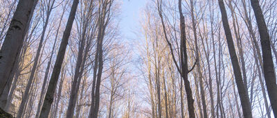 Bystra Śląska, ul. Beskidzka ↔ Przełęcz Kołowrót