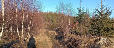 Przełęcz Łączecko ↔ Wisła, Mrozków