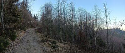 Pod Kyrkawicą ↔ Przełęcz Łączecko