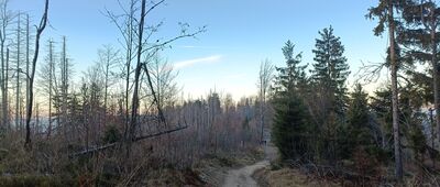 Pod Kyrkawicą ↔ Kyrkawica