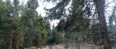 Kyrkawica ↔ Kiczory